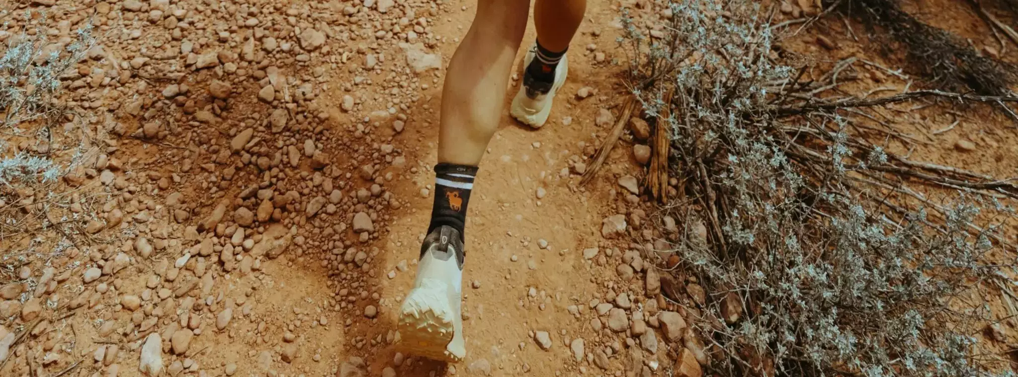 Norda® and Envalior develop high-performance trail running shoe with Arnitel® TPC